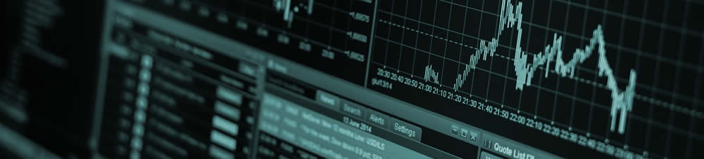Información Económica-Financiera