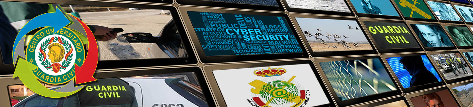 Seminarios, Jornadas y Congresos (CULTURA DE SEGURIDAD)