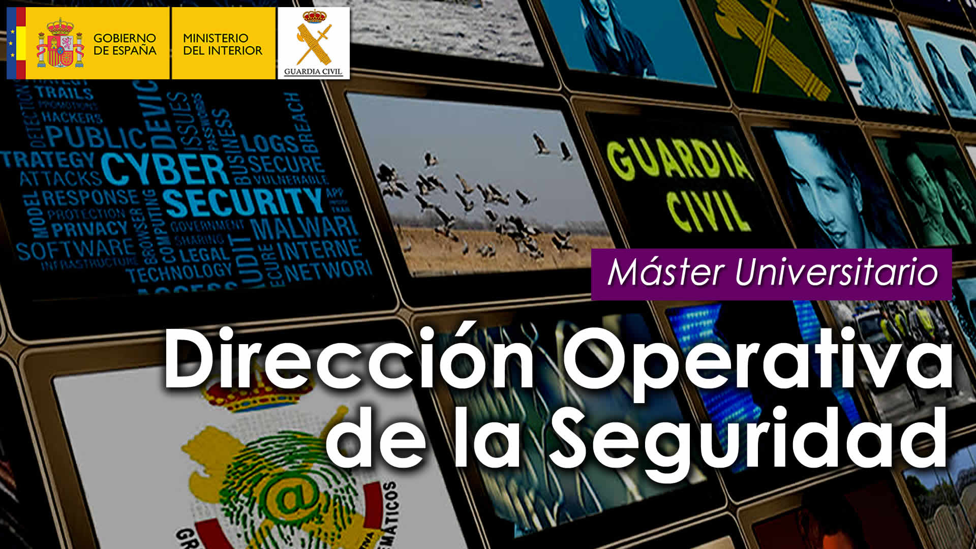 Máster Universitario en Dirección Operativa de la Seguridad