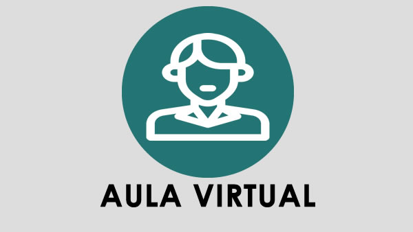 Imagen del enlace al Aula Virtual