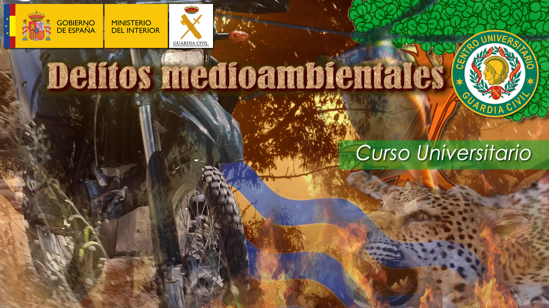 Curso Universitario en delitos medioambientales