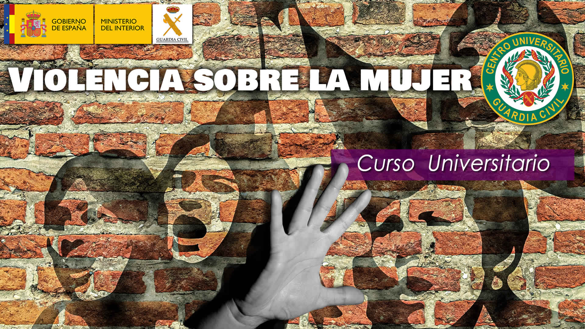 Curso Universitario en Violencia sobre la Mujer