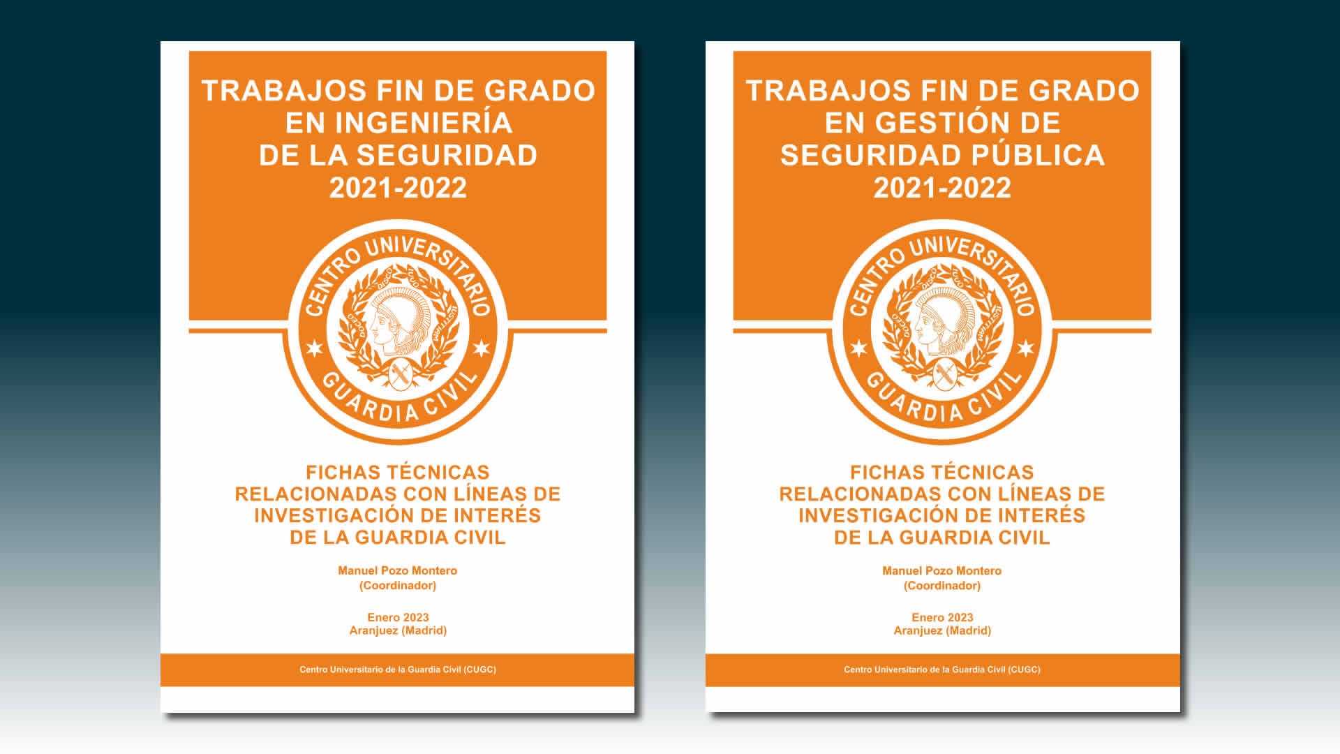 Trabajos Fin de Grado de GIS y GGSP 2021-2022. Recopilación de las fichas técnicas